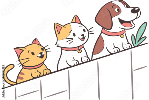 cat and dog
