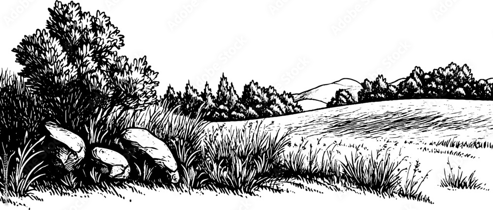 Obraz premium Serene Black and White Landscape Illustration