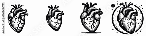 The Anatomical heart. Hospital Healthcare Clinic Treatment Symbol. Study human cardiac morphology detailed circulatory system diagram for medical learning.