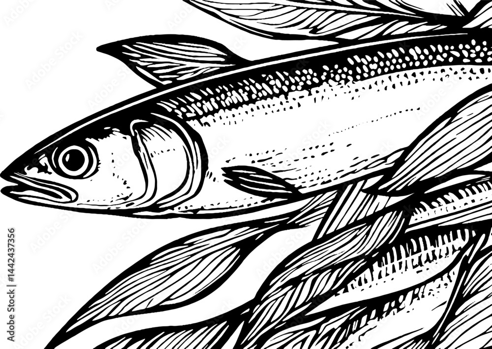 Fototapeta Intricate Black and White Fish Illustration