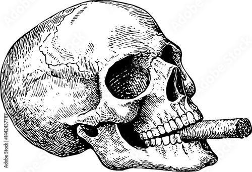 Illustration of a Skull with Cigar