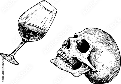 Skull and Wine Glass Illustration