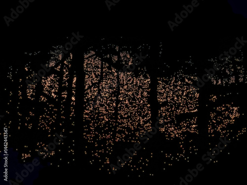Obraz na płótnie A forest at night with many lights shining through the trees. The lights are twinkling and creating a warm, cozy atmosphere w salonie