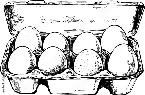 Detailed woodcut artwork depicts a cardboard egg carton. It contains eight eggs, showcasing various shapes and textures.