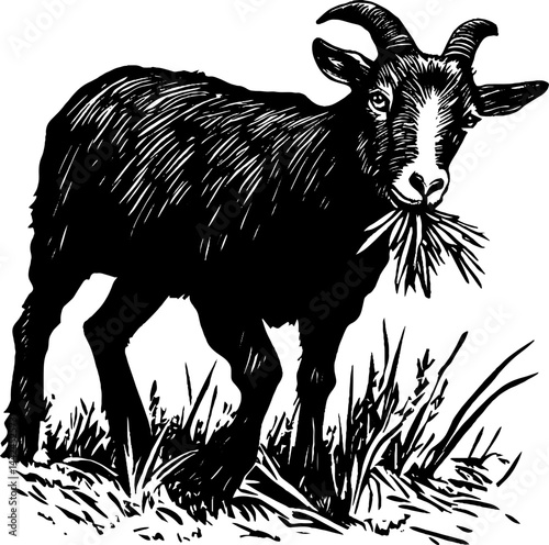 This vintage woodcut displays a goat happily munching on grass in a natural environment.
