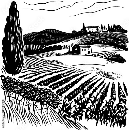 This detailed vintage woodcut illustration depicts a lush vineyard nestled in rolling hills.