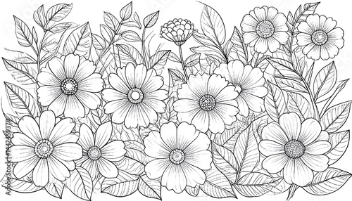 Black and white bird Coloring Page Art Design, Illustration

