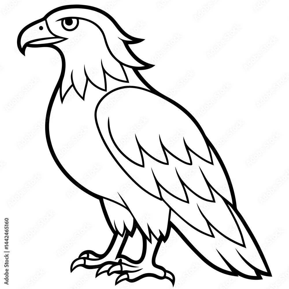 Fototapeta premium Bold Eagle Line Drawing Illustration