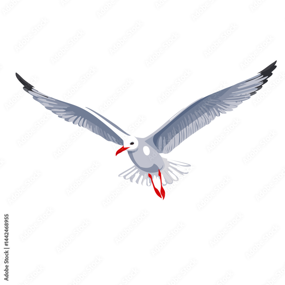 Obraz premium flying seagull bird vector graphic design 