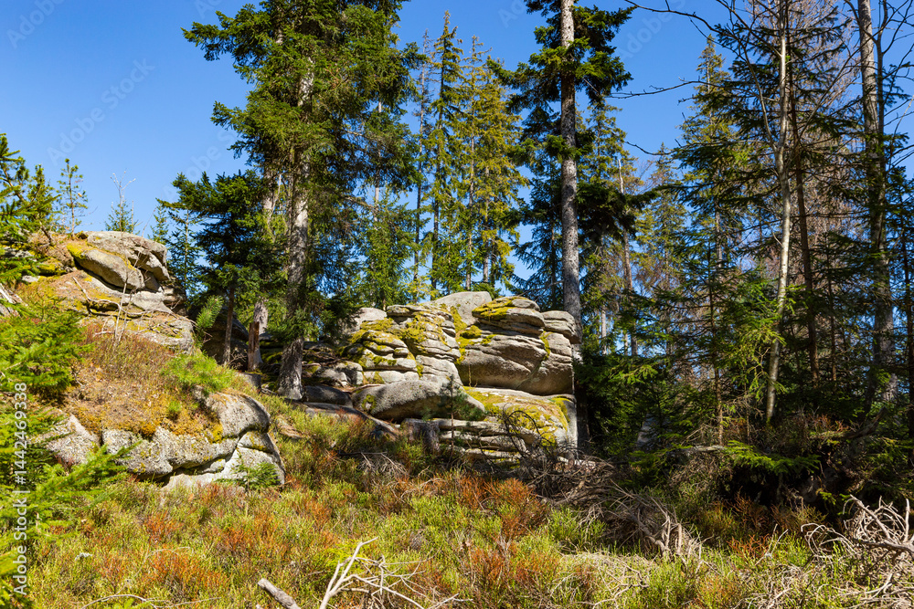Rock formations in the Sumava Mountains, Czechia. Tourist area
