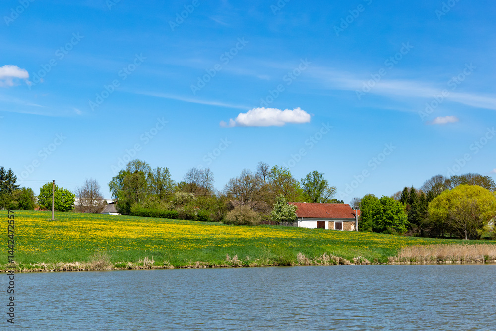 Spring landscape with a lake and a field