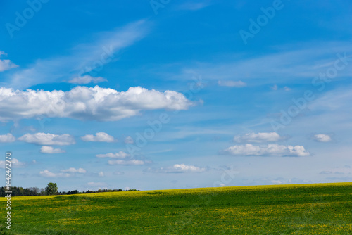 Obraz na płótnie Spring landscape with a field and blue sky w salonie