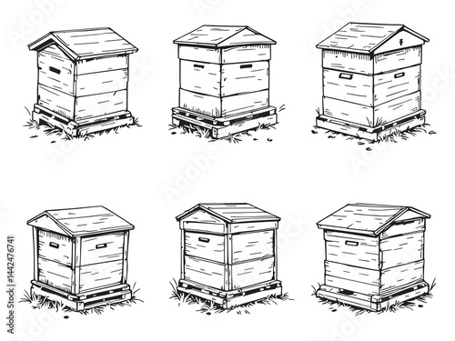 Line Art Vector of Apiary Box and Beehive Design 