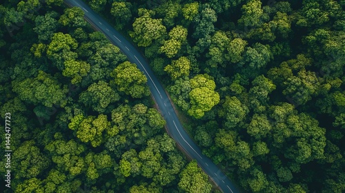 Fototapeta Naklejka Na Ścianę i Meble -  Aerial view of winding road through lush green summer forest trees eco way top path high drone image