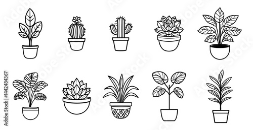 Ten line drawings of different potted plants including leafy stems, succulents, and cacti in containers