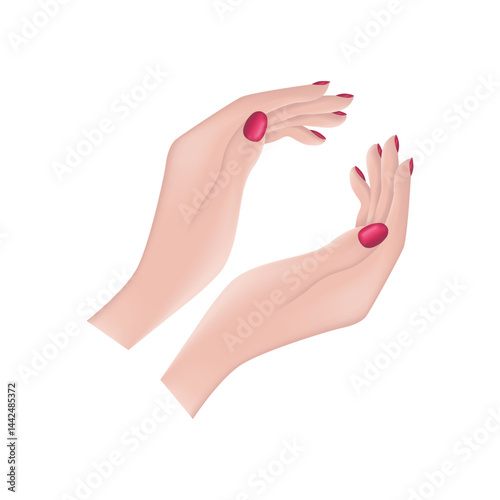 Female hands. An image of beautiful female hands. The hands of a woman with painted nails. The girl s hands. Vector illustration
