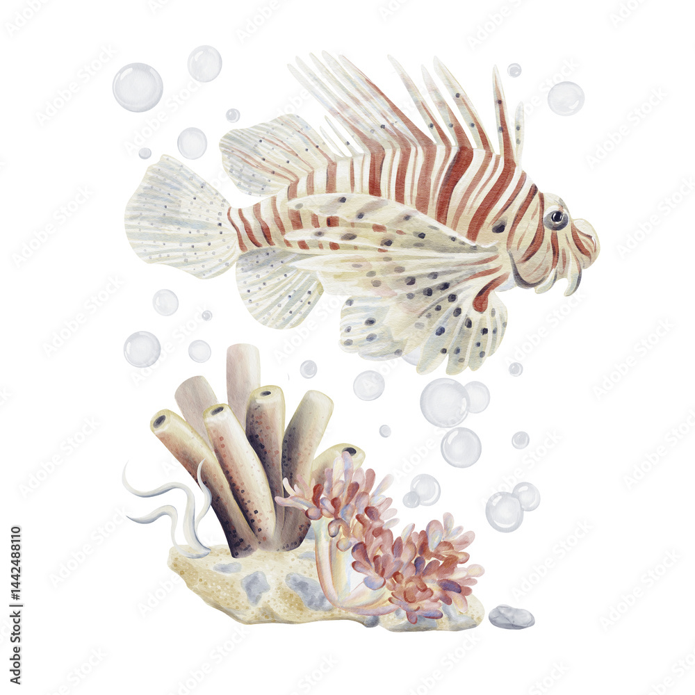 Obraz premium Lionfish. Big beautiful tropical exotic fish with red stripes. Marine world. Seabed with sand and pebbles. Underwater plants and sponge. Bubbles in the background. Watercolor illustration. 