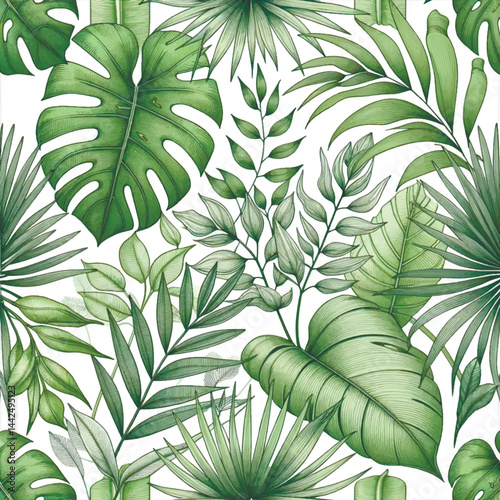Beautiful botanical pattern of watercolor tropical leaves in soft green shades. Elegant and natural foliage vector background with monstera, banana and palm leaves. Modern decorative design.