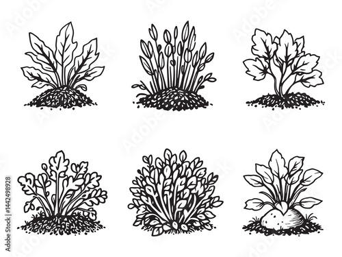 organic green manure agricultural farming line art design 