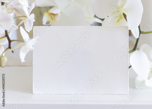Obraz na płótnie Card near white orchid flowers on table close up, pastel romantic wedding mockup w salonie
