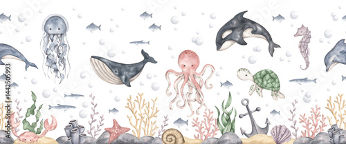 Photography Under the sea