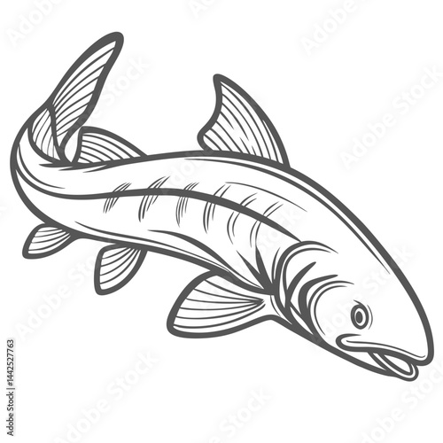 Remora Fish Line Art Illustration