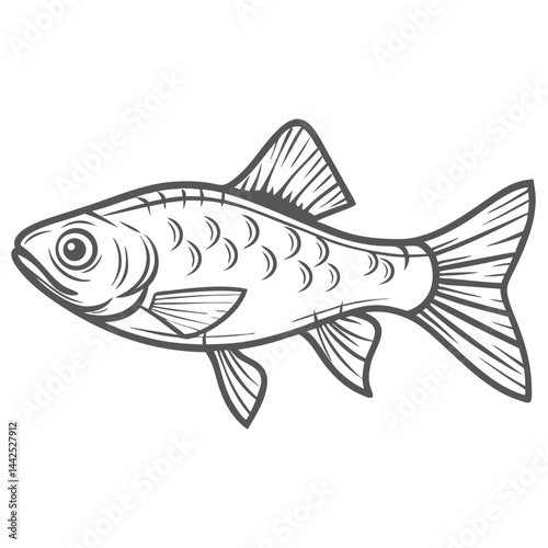 Snakeskin Barb Fish Line Art Illustration