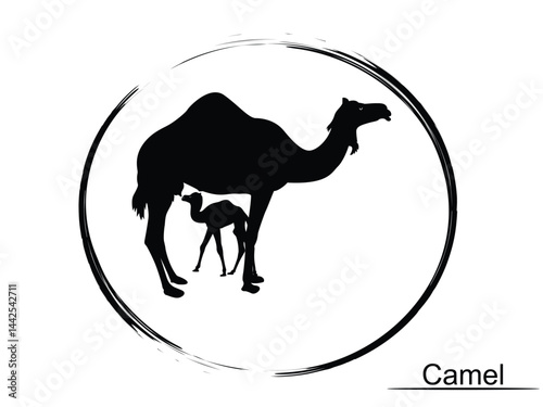 Camel-28
