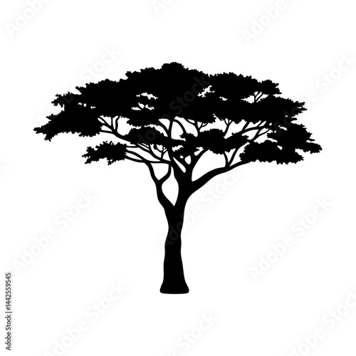 Download black silhouette of acacia tree vector image for graphic design and decoration needs