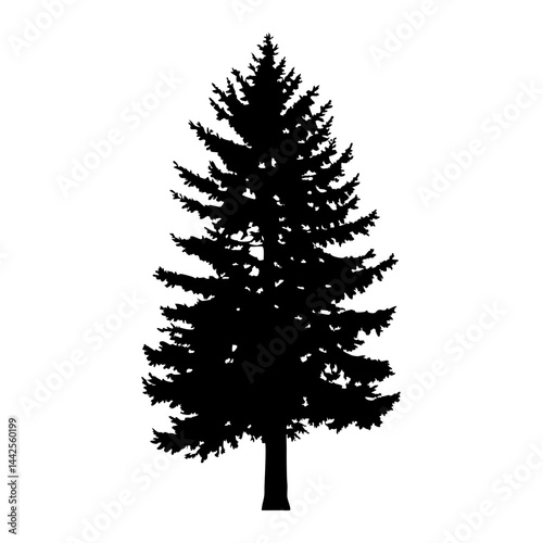 Download evergreen tree silhouette vector illustration for christmas and winter design needs