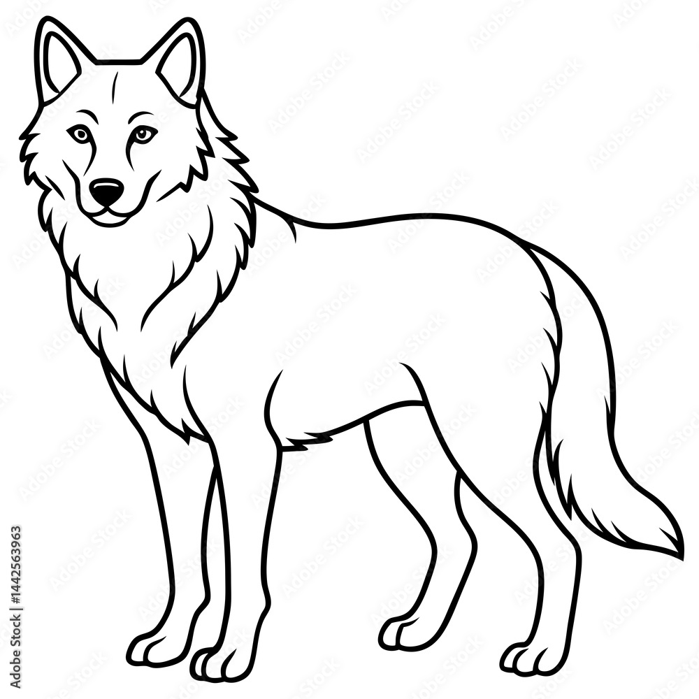 Fototapeta premium Elegant Wolf Outline Illustration