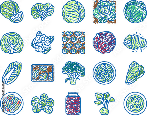 Cabbage Natural Vitamin Food Icons hand drawn
