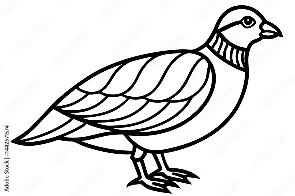 Fototapeta premium Elegant Quail Line Art