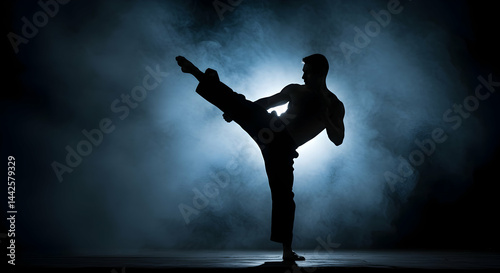 Silhouetted martial artist executing a powerful high kick amidst atmospheric smoke and dramatic lighting