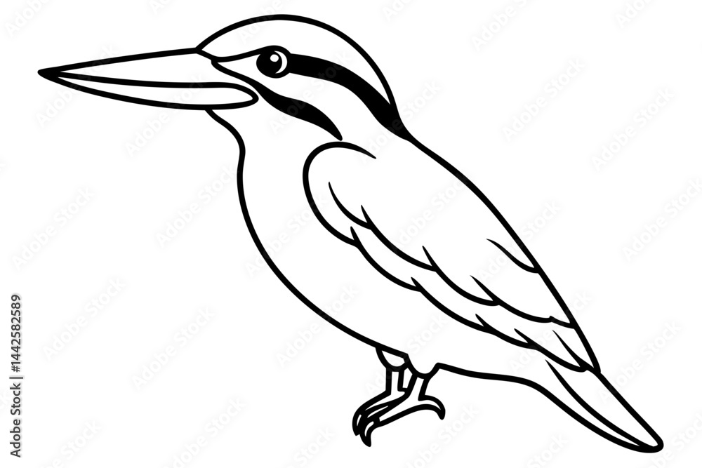 Obraz premium Graceful Kingfisher