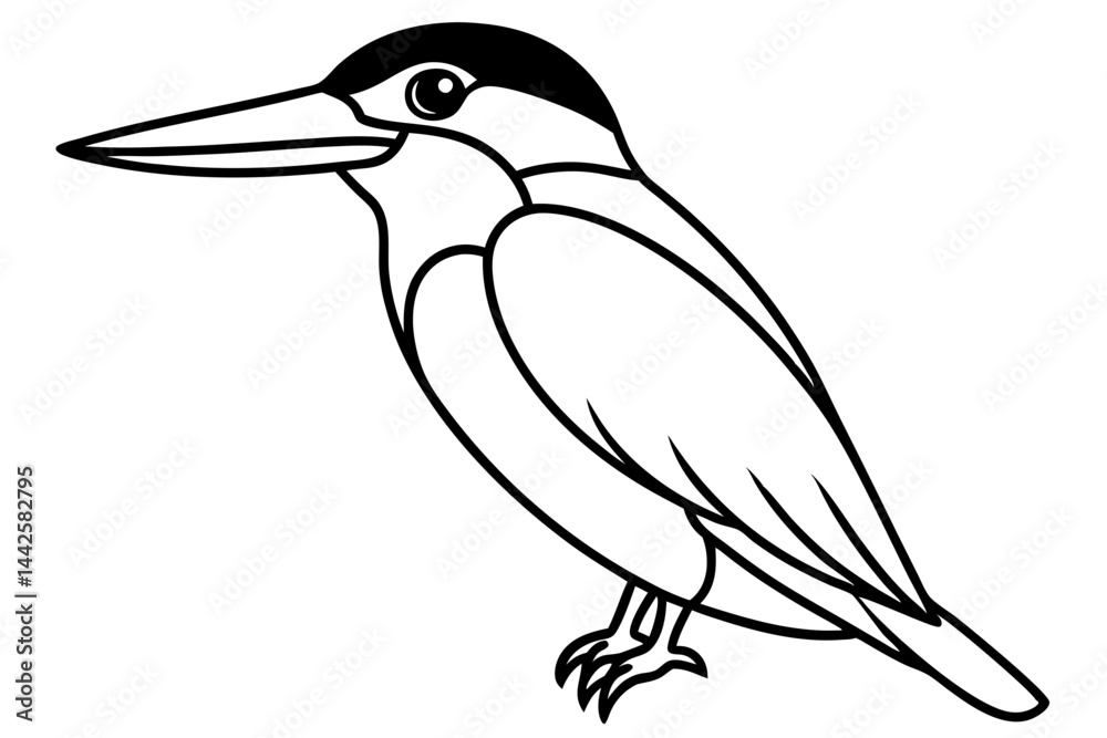 Obraz premium Graceful Kingfisher