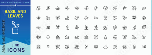 Basil and Leaves line icon set. Basil linear icon collection. Thin UI icons. Featuring nature, basil, garden, leaf, eco, tree, ecology and more. Pixel perfect. Editable stroke.