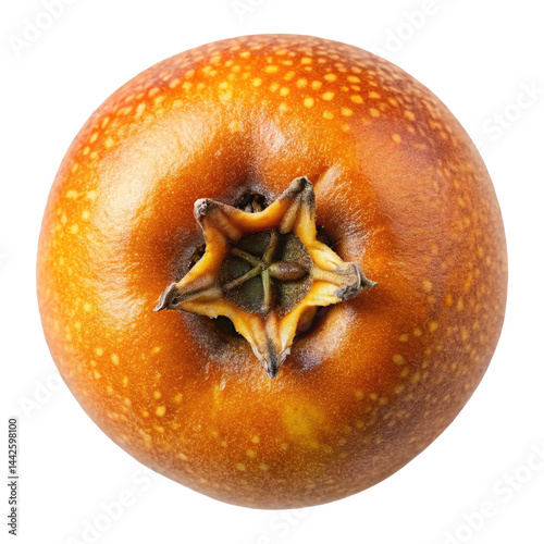 Macro shot of a ripe medlar fruit with sepal star detail