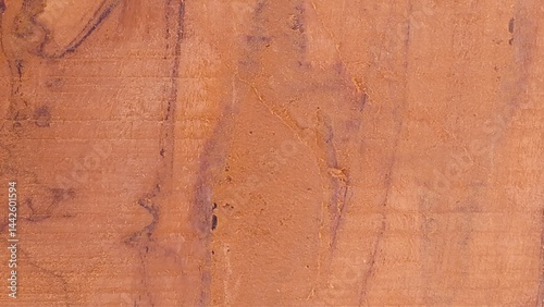 Wood plank to use as background and texture. Brown wood background. Vector illustration.