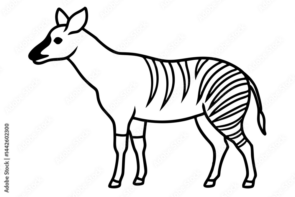 Fototapeta premium Graceful Okapi