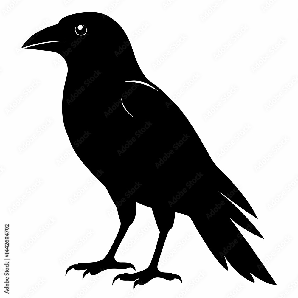 Obraz premium Flying Crow Silhouette Design