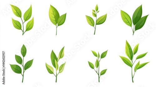 Fresh Tea Leaves Collection, Illustration