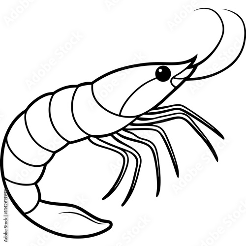 Elegant Shrimp Outline Vector Design