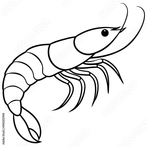 Elegant Shrimp Outline Vector Design