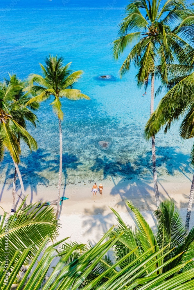 Fototapeta premium Tropical paradise beach scene with palm trees and serene turquoise waters