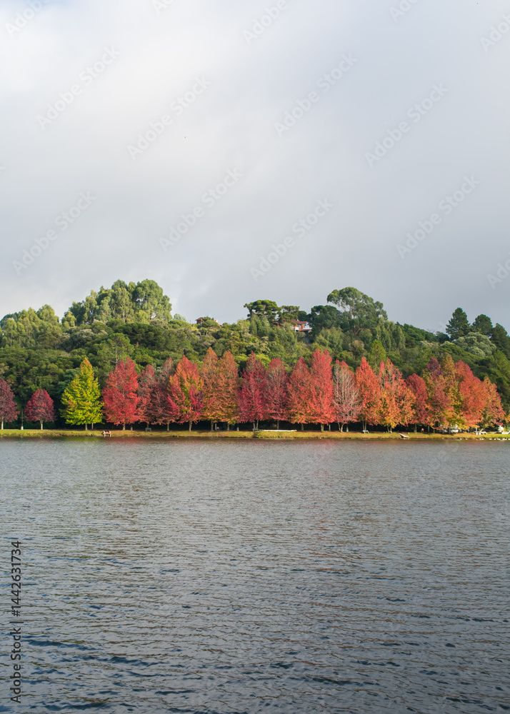 Sao Bernardo Lake in Autumn. Tourist destination in Sao Francisco de Paula, South of Brazil