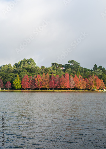 Obraz na płótnie Sao Bernardo Lake in Autumn. Tourist destination in Sao Francisco de Paula, South of Brazil w salonie