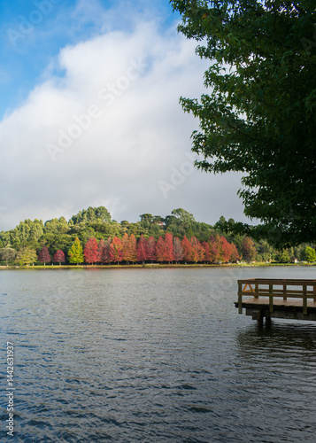 Obraz na płótnie Sao Bernardo Lake in Autumn. Tourist destination in Sao Francisco de Paula, South of Brazil w salonie