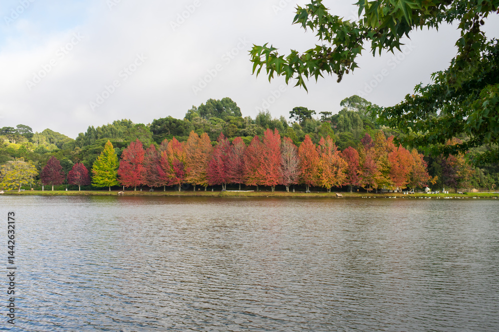 Sao Bernardo Lake in Autumn. Tourist destination in Sao Francisco de Paula, South of Brazil