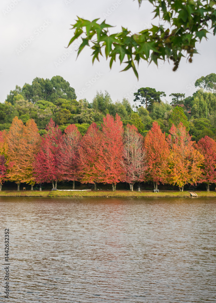 Sao Bernardo Lake in Autumn. Tourist destination in Sao Francisco de Paula, South of Brazil